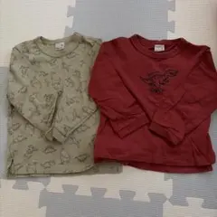 petit main 長袖Tシャツ 2枚セット 90cm 恐竜