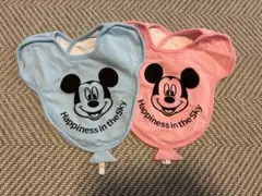 ディズニー　スタイ　セット