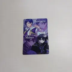 カード 紫組 VOISING チップス カード