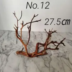 2026年最新】アク抜き済流木の人気アイテム - メルカリ