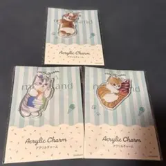 モフサンド　アクリルチャーム