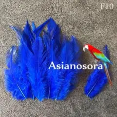 pearl様 リクエスト 2点 まとめ商品