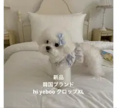 Item thumbnail for item f1e38d5b-98b9-4dec-8929-e79112ff59eb