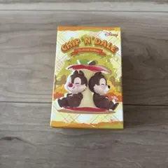 Disney Chip 'n' Dale Fun-loving Brothers