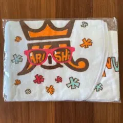 2013年 嵐 アラフェス フード付きタオル 新品未開封