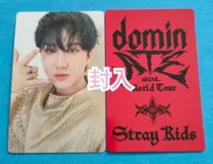 straykids dominATE トレカ チャンビン ①