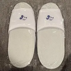 Item thumbnail for item 351dfe73-be17-4437-bf1f-38cd0623470f