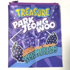 TREASURE ジョンウ WONDERLAND ポーチ カプセルトイ