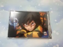 鬼滅の刃　無限城編　全方位コレクション缶バッジ　冨岡義勇