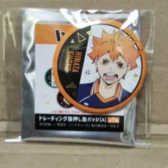 ハイキュー トレーディング箔押し缶バッジ 日向翔陽 M7