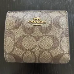 Item thumbnail for item be9c3c05-d93e-456d-a115-3fbde296f539