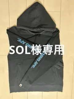 【SOL様専用】のサムネイル
