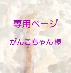 がんこちゃん様専用