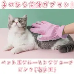 Item thumbnail for item 6344c75f-e59b-4cfe-837f-6b2693be7ce7