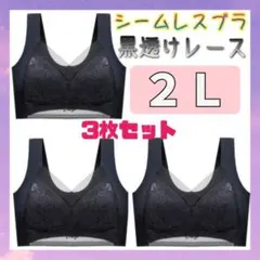 ２Ｌ 着痩せ ノンワイヤー ゆったり ナイトブラ 美胸 3枚 シームレスブラ
