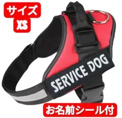 Item thumbnail for item 94fb3d16-1e56-4f10-98aa-01442541548b