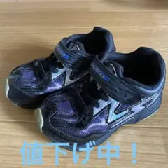 Item thumbnail for item 9645ca5e-bdd8-4d41-8d46-952e91c11713