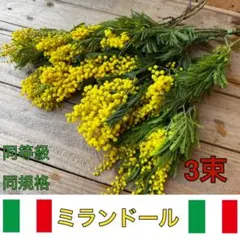 Hoa プロフ必読！お願いします様 リクエスト 3点 まとめ商品