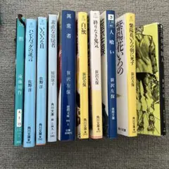 小説まとめ売り10冊