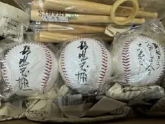 読売ジャイアンツ 国民栄誉賞W受賞記念グッズ 読売ジャイアンツ 国民栄誉賞W受賞記念グッズ - メルカリ