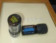 新品未使用】ドテラ dōTERRA Deep Blue Rub 120g 2本 - メルカリ