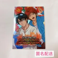 2026年最新】新テニスの王子様トレーディングカード Summer Evolution