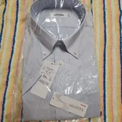 TEIJIN SOLOTEX ストライプ 半袖シャツ LL