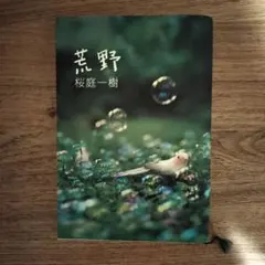 荒野