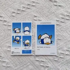 サンリオキャラクターズ 証明写真風スマロイド NG集 あひるのペックル