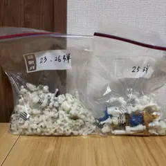 ほねほねザウルス25冊セット 2025年最新】ほねほねザウルス 25の人気アイテム - メルカリ