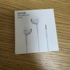 RayDisk EarPods 3.5mmヘッドフォンジャック 2023年