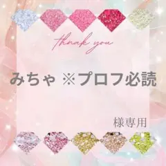 みちゃ ※プロフ必読様