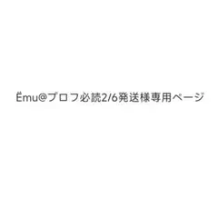 Ёmu@プロフ必読2/6発送様専用ページ