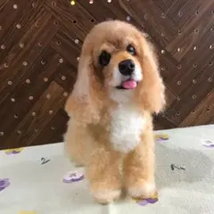2025年最新】コッカースパニエル ぬいぐるみの人気アイテム