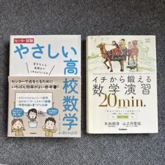 高校数学 参考書 2冊セット やさしい高校数学 数学演習
