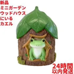 新品 コポー ミニガーデン ウッドハウスにいるカエル 14cm