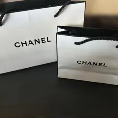 CHANEL ショップ袋 大小セット