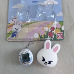 リノ　たまごっち　stray kids リービット　スキズ　スキズ