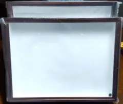 2025年最新】昆虫 標本箱 バードウィングの人気アイテム - メルカリ