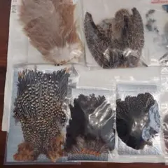 ジャングルコックネック　マテリアルセット 2025年最新】ジャングルコックの人気アイテム - メルカリ