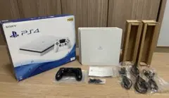 PS4本体 1TB モンスターハンターアイスボーン付き 動作確認済み