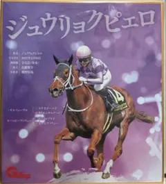 今村聖奈騎手 ジュウリョクピエロ 色紙 オークス - メルカリ