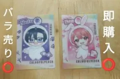 カラフルピーチ からぴち トレーディングミニキャラクリアカード のあ もふのサムネイル