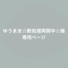 ゆうまま☆断処理再開中☆様専用ページ