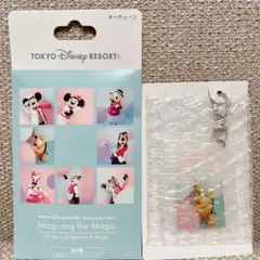 【新品未開封】イマジニング・ザ・マジック　プルート　キーチェーン