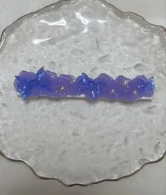ホイップデコ マグネット