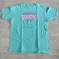 【US古着】anvil Tシャツ XLサイズ ミントグリーン GILDAN
