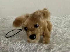 モールストラップ　ワンコ