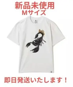 新品 Mサイズ NIKE ACG TEE SCORPION SUMMIT
