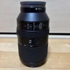FE 70-300mm F4.5-5.6 G OSS（SEL70300G）